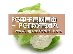 产品名称九