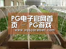 环境展示五