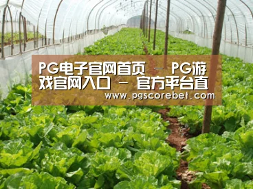 种植基地五