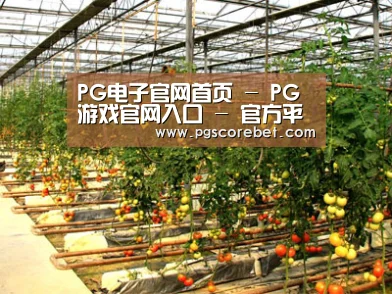 种植基地二