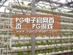 环境展示六