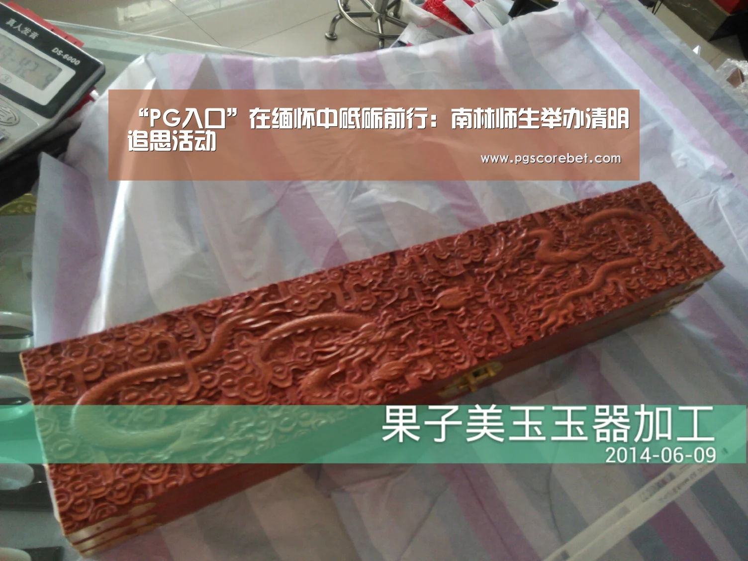 “PG入口”在缅怀中砥砺前行:南林师生举办清明追思活动(图4) PG入口